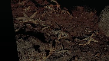 UXO Inspection Using an Underwater Laser Scanner (Optical Sensor)