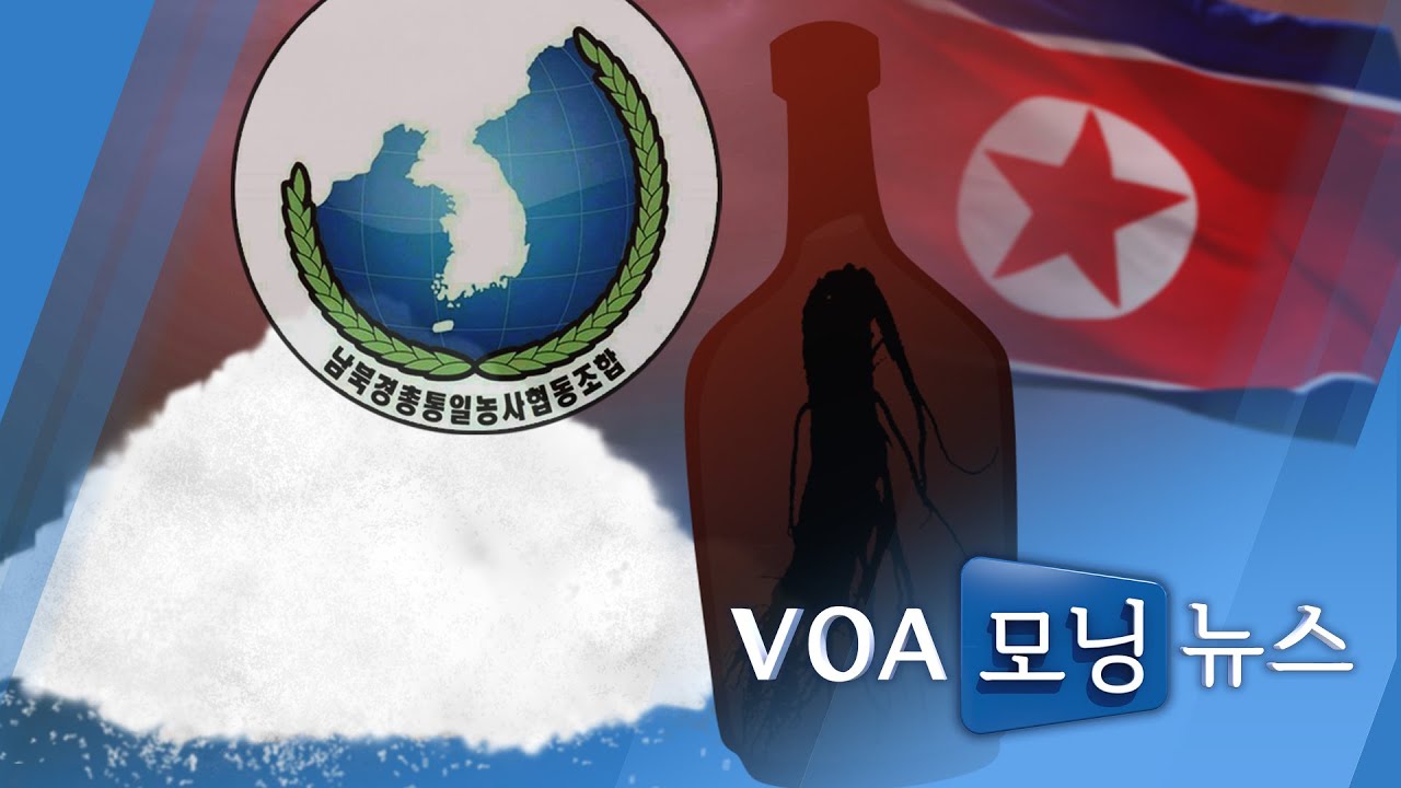 8월25일(화)시니어6040동영상/사설