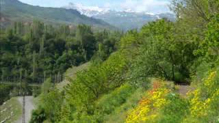 Sefi̇l Baykuş - Mevlüt İhsani̇
