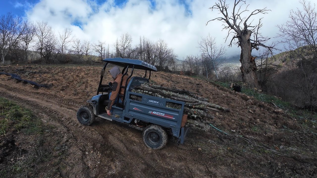 Polo farm ile Konteynere 🪵🪵taşıyoruz abone olup beğenmeyi paylaşmayı unutmayalım…