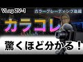 カラコレやカラーグレーディングをやる前に知ってほしい1つの事。コレを知れば色イジリが思うように出来る[ZV-1][後半][FCPX][cinematic]