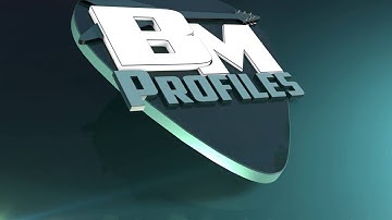 Bert Meulendijk Kemper profiles logo