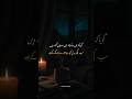 Whatsapp sad status🥀 Urdu Shayari✨ Broken heart poetry💔 #poetry #shayari #status #quotes #foryou