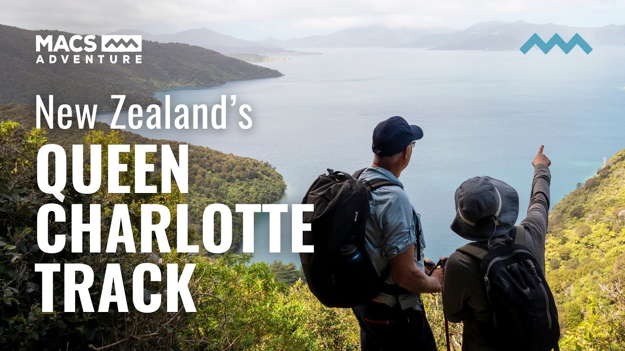 Walk New Zealand's Coastal Trail, the Queen Charlotte Track Our 4 Day