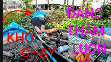 Thăm lờ cá gặp đồng nghiệp cao thủ quá.