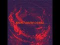 Montagem Coral Remix 