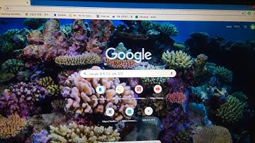 code.org들어가는 방법