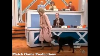 Match Game PM (Episode 201) (Meet Trotter: Gene's Daughter Lynn's Dog) (GOLD STAR EPISODE) screenshot 3