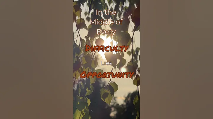 Finding Opportunity in Difficulty | Einstein Quote #Shorts