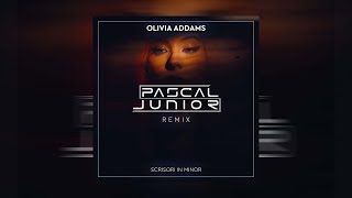 Video thumbnail of "Pascal Junior x Olivia Addams - Scrisori In Minor | Remix"