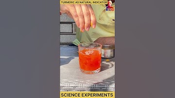 turmeric indicator experiment | science experiments | #experiment #science