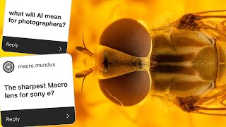 Macro Photography Q&A