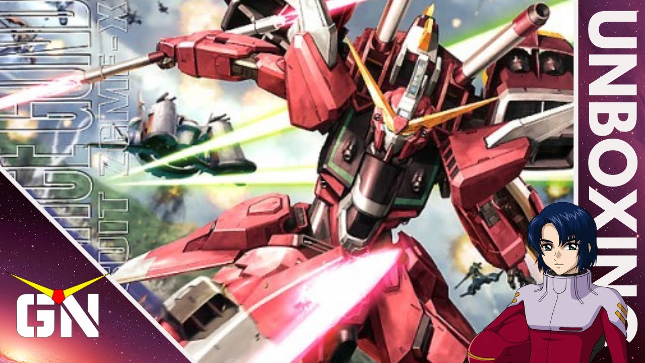 What Do You Get From A 2008 MG - MG 1/100 Infinite Justice