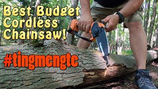 Impressive Cordless Hand Chainsaw ~ Tingmengte by The Cook Family Homestead 224 views 8 months ago 6 minutes, 12 seconds