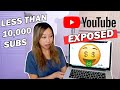 How Much Money Do Small YouTubers Make? | Less than 10K Subs (Not Clickbait!)
