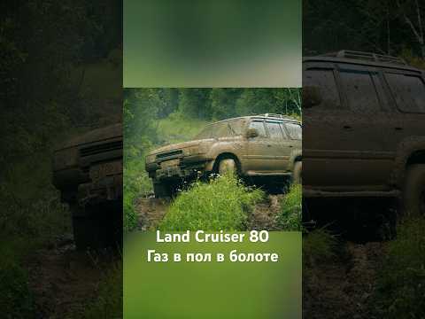 Видео: Land Cruiser 80 на пределе в болоте