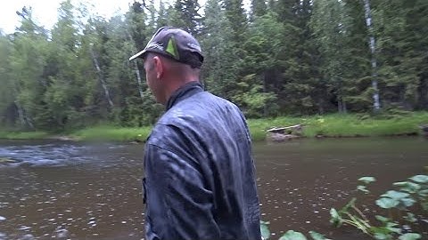 Они сказали"мы не идём"