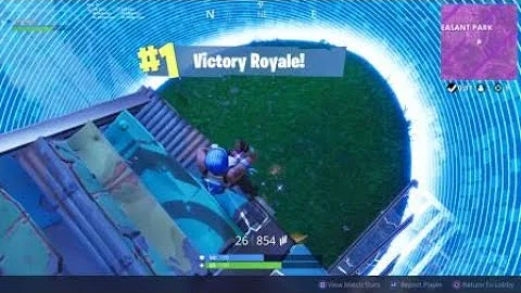 Fortnite Victory (New TRUE HEART Emote)