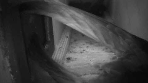 Video_0512-2214(S-VIDEO)[198].mpg