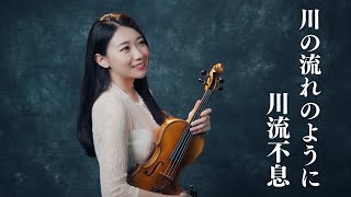 Hibari Misora「Kawa no nagare no you ni」Kathie Violin cover