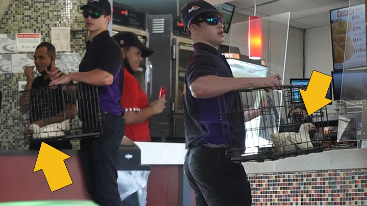DELIVERING A REAL CHICKEN TO POPEYES! (Fake FedEx Worker)