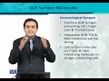 BT302 Immunology Lecture No 86