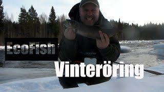 Vinteröring