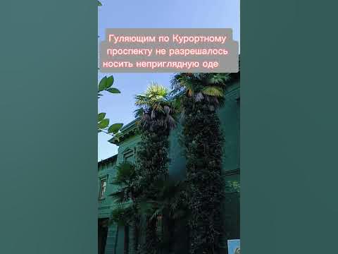 Появление у дачи Сталина женщины в домашнем халате могло привести к ее ...