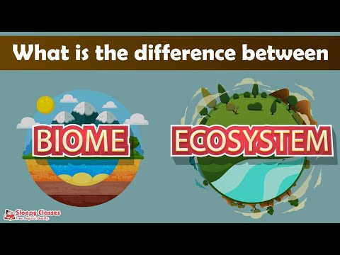 Video: Wat is die verskil tussen ekostreek en bioom?
