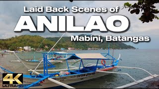 その他 Anilao Madini Batangas-Philippines [Blu-ray] mqdefault.jpg