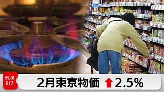 2月の東京都区部　消費者物価指数　2.5％上昇（2024年3月5日）