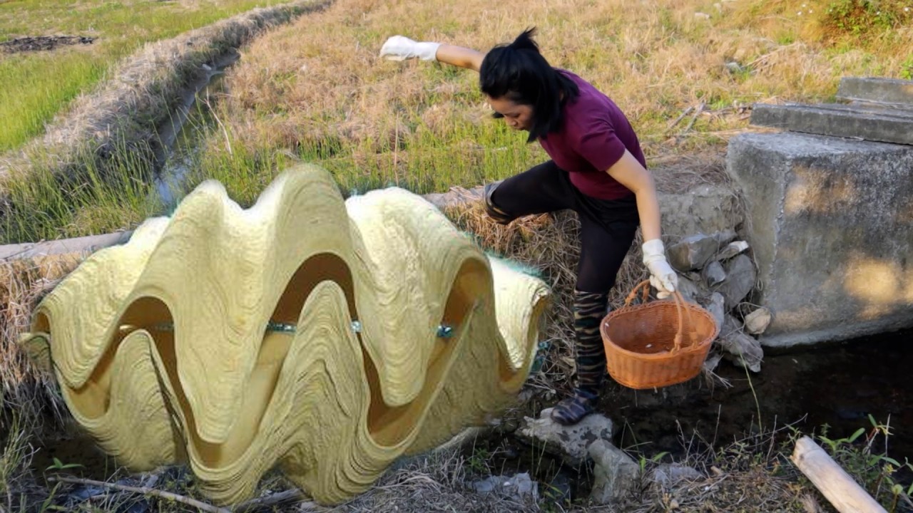 😱 Open the green clams, filled with precious golden pearls, so beautiful and enchanting