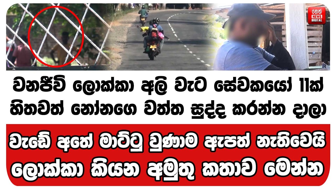 වනජීවි ලොක්කා හිතවත් නෝනගෙ වත්ත සුද්ද කරන්න දාලාවැඩේ අතේ මාට්ටු වුණාම ඇපත් නැතිවෙයි