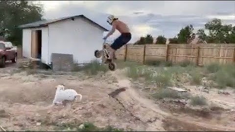 Mini BMX Dirt Jumps and shreds