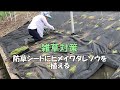 雑草対策の作業記録です、植栽専用防草シートに最強グランドカバー「ヒメイワダレソウ」を植える、地味な作業映像のみ