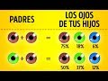 ¿Cómo serán tus hijos?