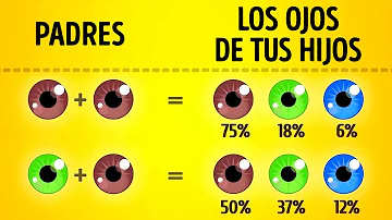 ¿Qué progenitor transmite el color de los ojos?