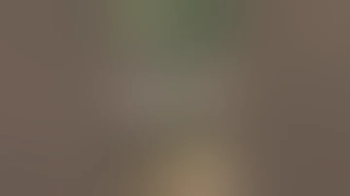 Glock Frt *NOT A SWITCH* Forced Reset Trigger (Kiss Trigger-Freedom Finger Triggers) PSA Dagger #frt