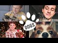 Charlie Puth with dogs! (Compilation)