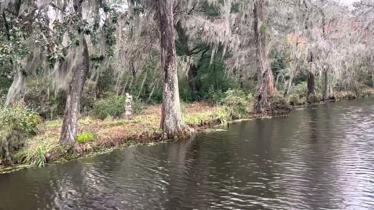 Southern Winter Scene on the Riverbank - Copyright Free Video Footage, Royalty Free Stock Video