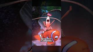 Did You Know In Finding Dory