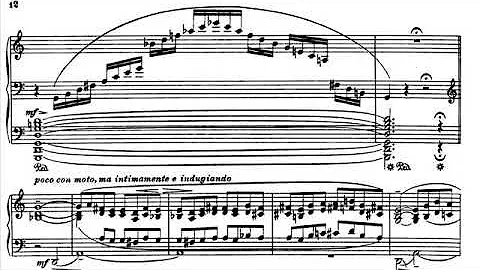 Busoni - Fantasia Contrappuntistic...  BV 256