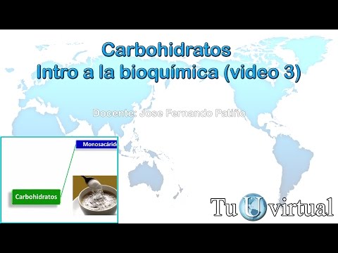 Carbohidratos (Monosacáridos) - Introducción a la bioquímica #3