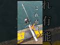 サビキ釣りの有能アイテムを紹介!2000円程度で買えるから是非取り入れてみて!#釣り #fishing #サビキ釣り #fish