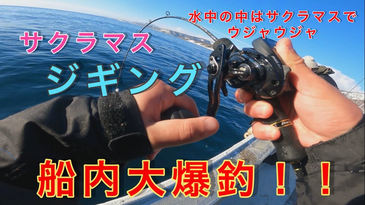 【サクラマスジギング】やる気のあるサクラマスばかり！水面までチェイスもしてきた⁉️