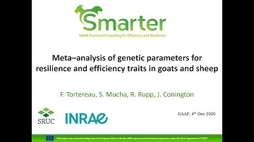 Meta-analysis of genetic parameters for resilience and efficiency traits in goats and sheep