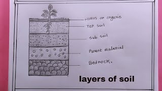 how to draw layers of soil easy/layers of soil drawing