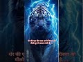 शेर की एक की नजर अपने शिकार को मीलो दूर से पहचान लेती है......#short#video#trend.........