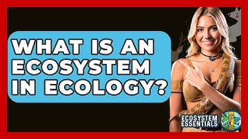 What Is An Ecosystem In Ecology? - Ecosystem Essentials