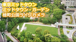 Live Tokyo 東京タワー 六本木 ミッドタウン 首相官邸 檜町公園 ライブカメラ Youtube